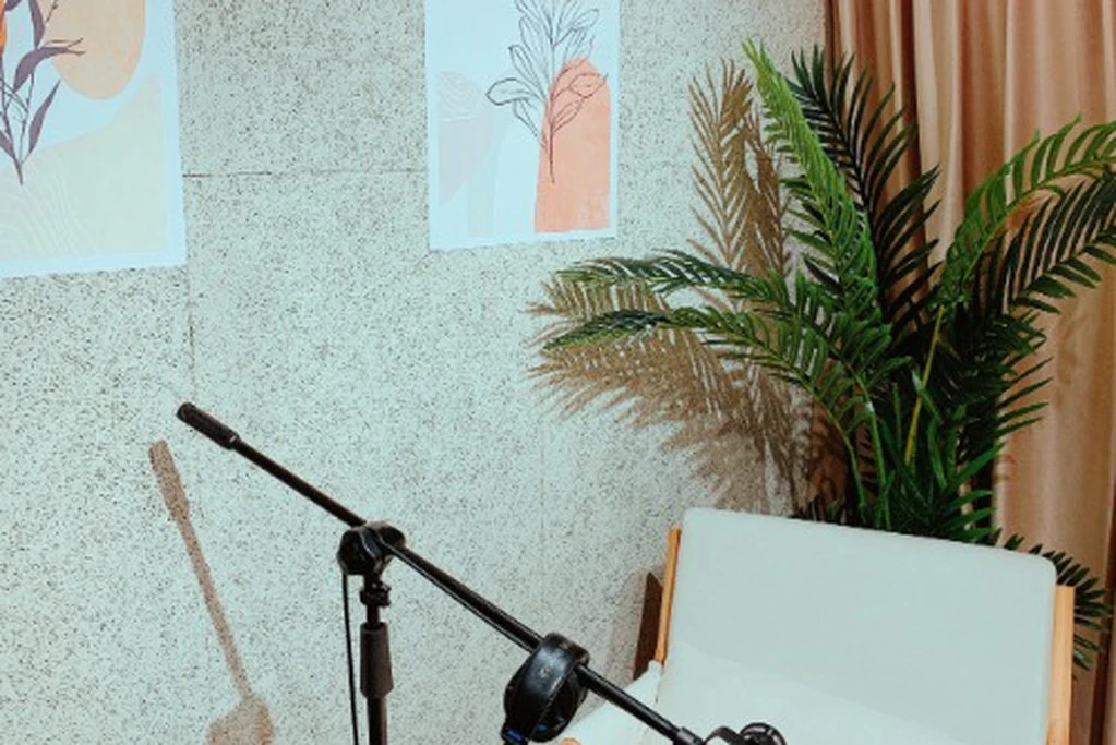 MicMind Studio 小日子