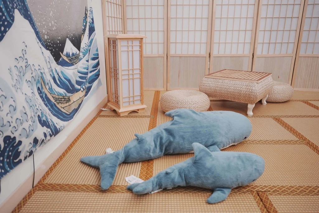 Limerence 光角攝影棚