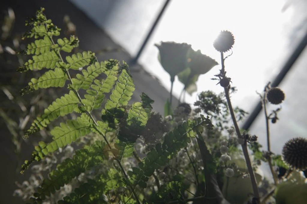 40坪聚會好地方｜身心靈釋放｜各式發表會活動