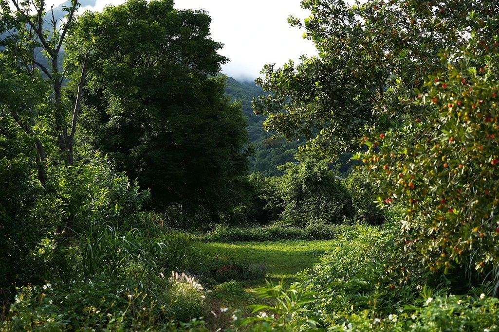 白平方 Ｈ花園區