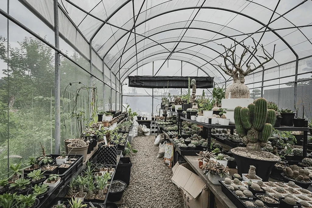 植木屋