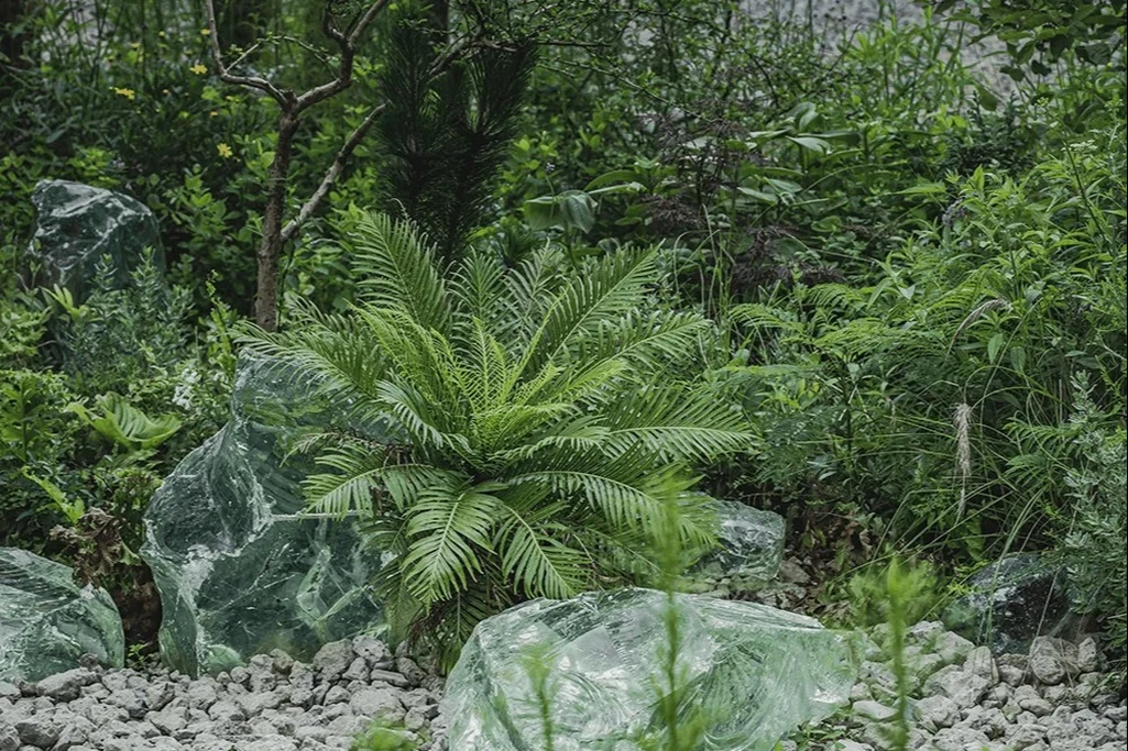 英式花園