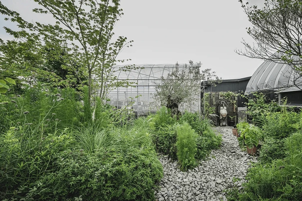 野草花園
