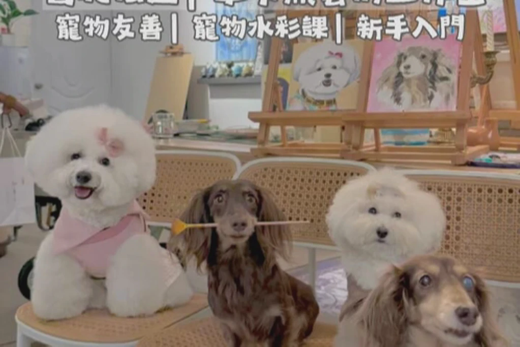 畢卡熊藝術工作室