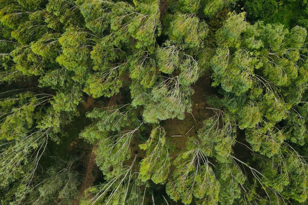 南投｜森林秘境｜大片採光｜一日活動｜身心冥想 🌳🧘‍♀️☀️｜森十八