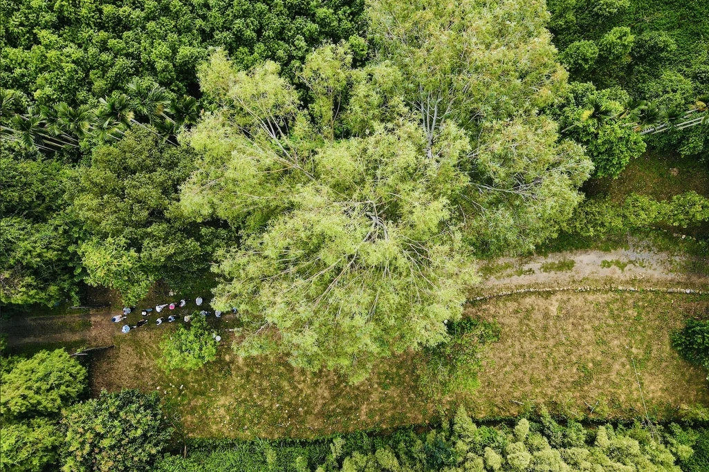南投｜森林秘境｜大片採光｜一日活動｜身心冥想 🌳🧘‍♀️☀️｜森十八