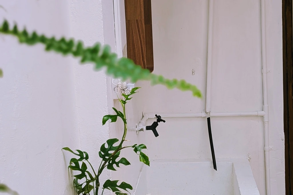 步行信義安和站10分鐘｜綠意空間｜木質感聚會空間 🌿🪑